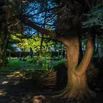 Aura Camp - Glamping, Jezioro, Sauna, Supy Luksustelt