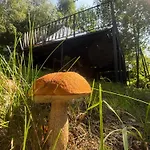 Aura Camp - Glamping, Jezioro, Sauna, Supy * Międzybrodzie Bialskie