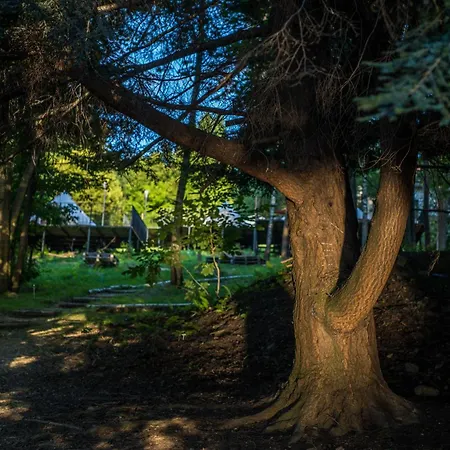 Aura Camp - Glamping, Jezioro, Sauna, Supy Campingplads