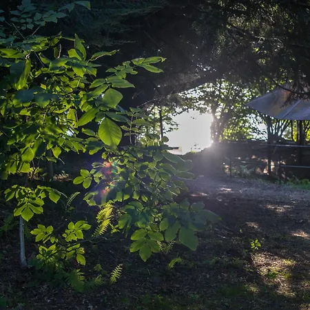 Aura Camp - Glamping, Jezioro, Sauna, Supy Campingplads