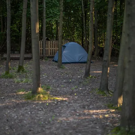 Aura Camp - Glamping, Jezioro, Sauna, Supy * Мендзибродзе-Бяльське