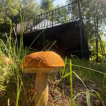 Aura Camp - Glamping, Jezioro, Sauna, Supy * Międzybrodzie Bialskie