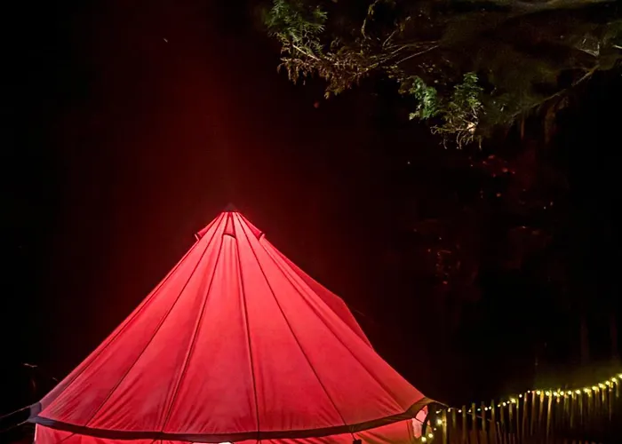 Aura Camp - Glamping, Jezioro, Sauna, Supy * Międzybrodzie Bialskie