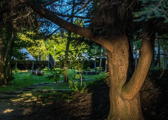 Aura Camp - Glamping, Jezioro, Sauna, Supy Campismo de Luxo