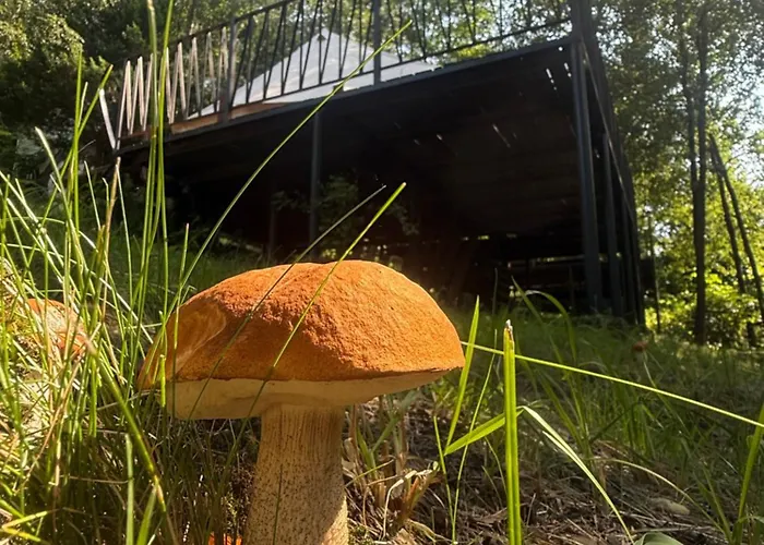 Aura Camp - Glamping, Jezioro, Sauna, Supy * Międzybrodzie Bialskie